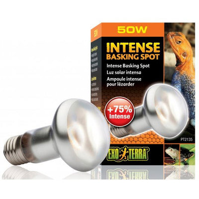 Exo Terra Intense Basking Spot S25 100w
