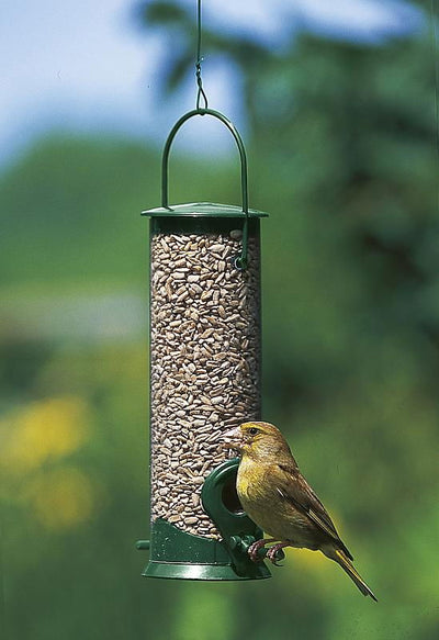 Cj Discovery Plastic Hanging Seed Feeder Green 2 Port 21cm