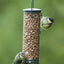 Cj Discovery Plastic Hanging Peanut Feeder Green 21cm