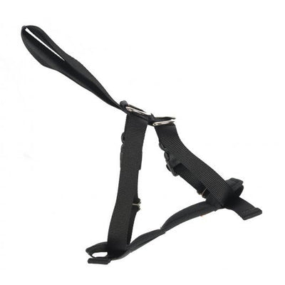 RAC 2 In 1 Car Harness Medium Max Chest 41-58cm (16-23")