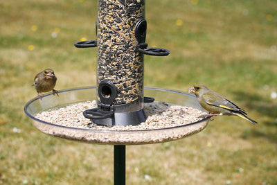Cj Feeder Tray Lge