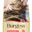 Burgess Adult Cat Scottish Salmon 1.5kg
