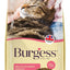 Burgess Adult Cat Scottish Salmon 10kg