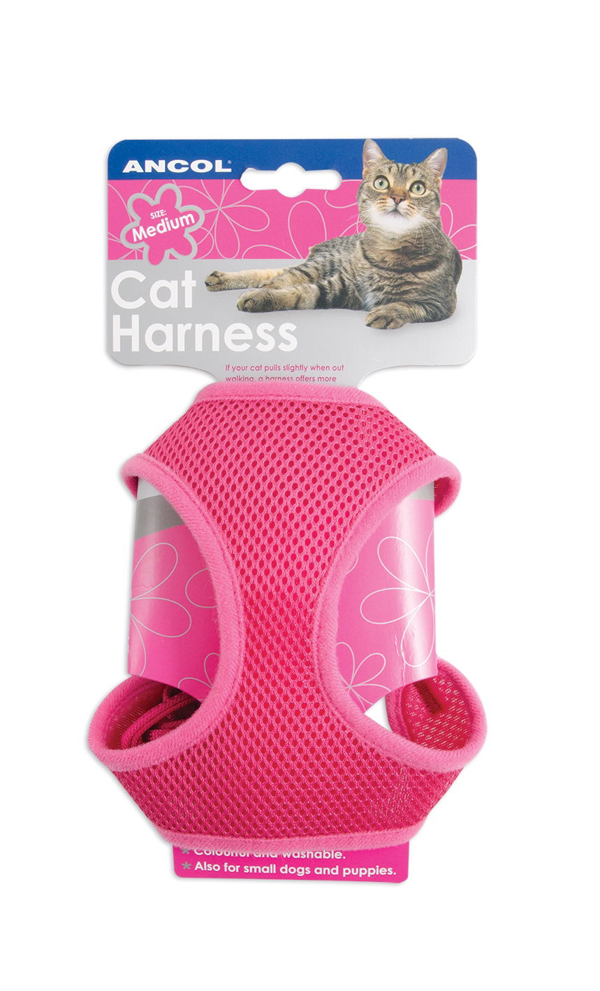 Soft Harness & Lead Pink Small