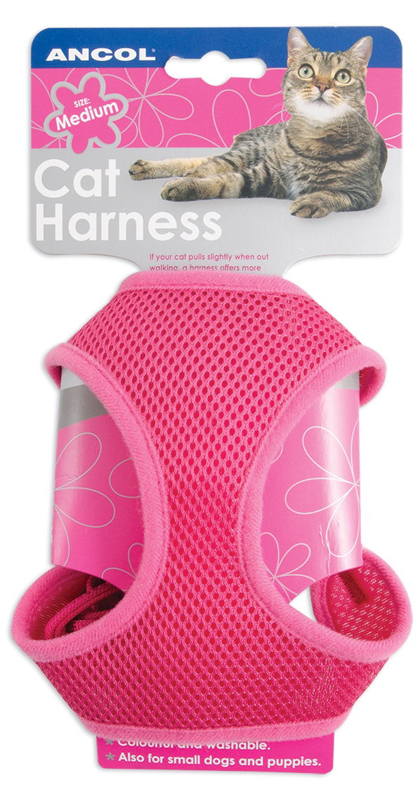 Soft Harness & Lead Pink Medium
