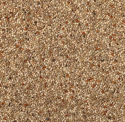 J&j Expert Budgie Seed 20kg