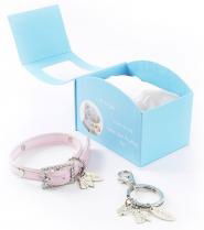 Me To You © Collar And Keyring Set Small