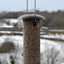 Supa Wild Bird Metal Sunflower Heart Feeder