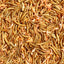 Supa Dried Insectivore Food 1000ml