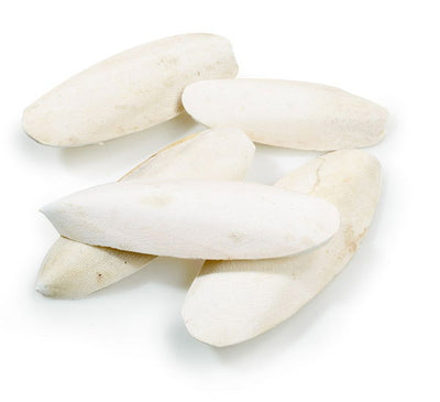 Classic Cuttlebones Bulk Pack 5lb(2.27kg)