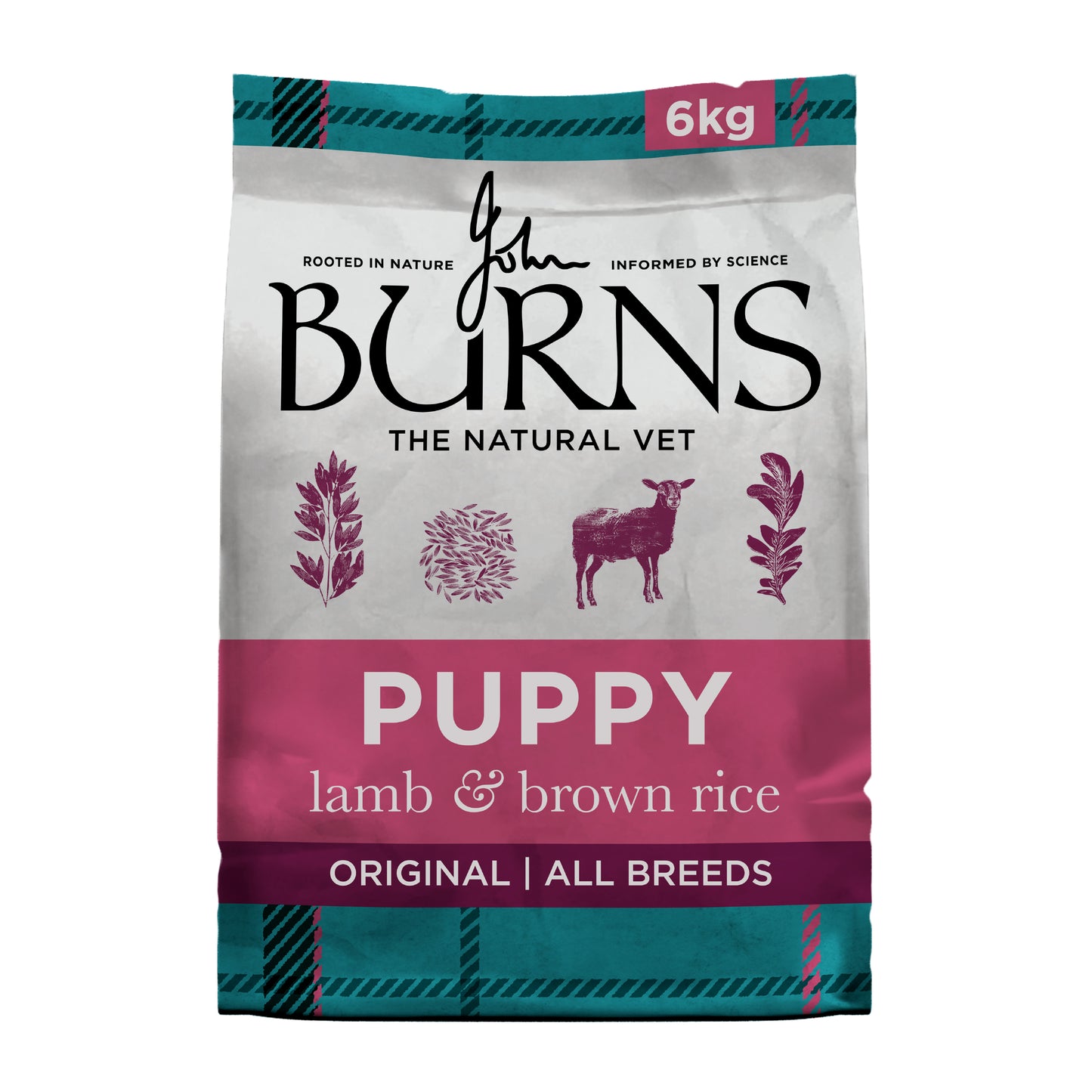 Burns Puppy Original Lamb & Rice 6kg