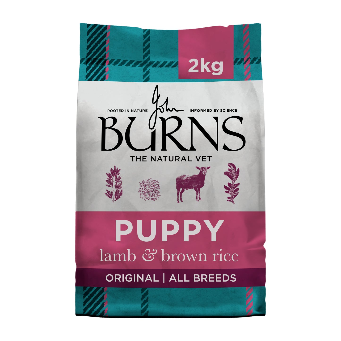 Burns Puppy Original Lamb & Rice 2kg