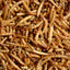 Supa Dried Mealworms 500ml