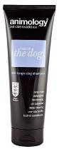 Animology Hair Of The Dog Shampoo 250ml