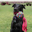 KONG Wubba Weave Assorted Small