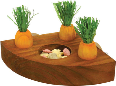 Boredom Breaker Carrot Toy N Treat Holder
