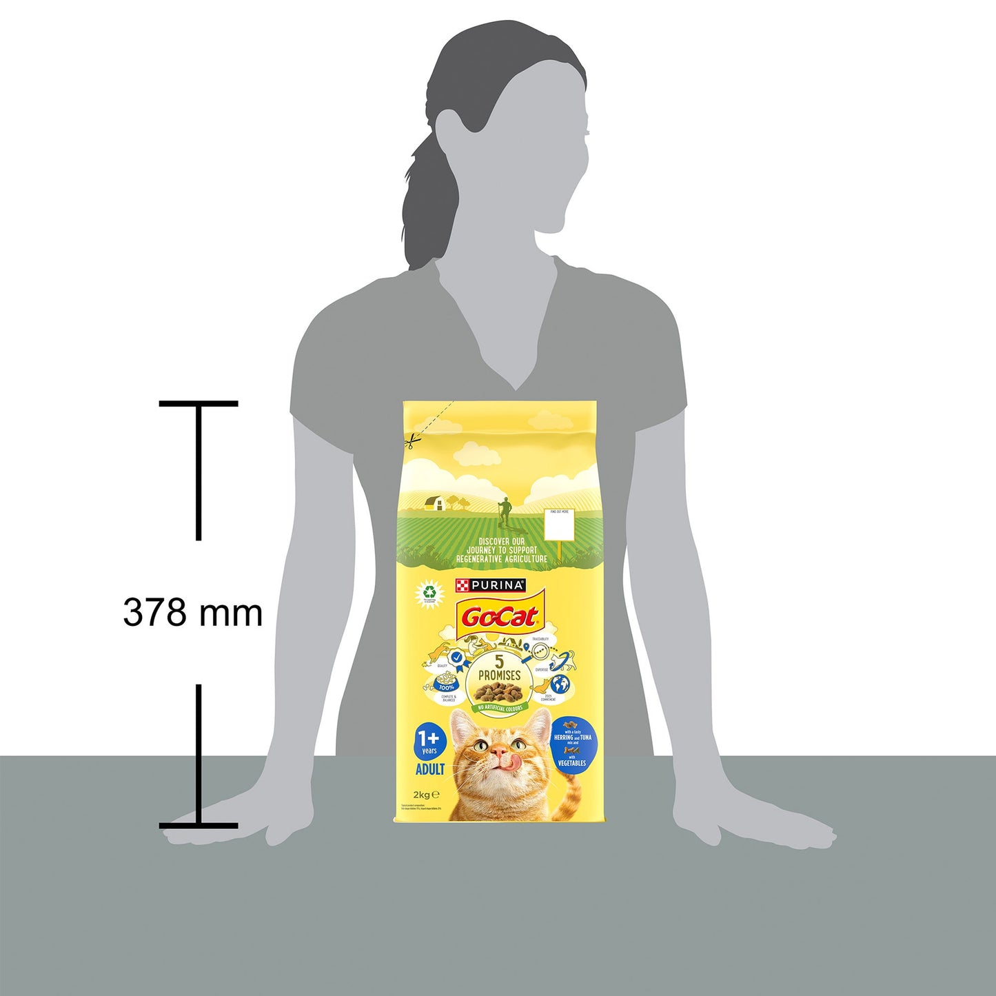 Go-Cat Adult Cat With Herring Tuna & Vegetables 2kg