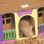 Smartkitz Pet Shacks Winter Holiday 2pack