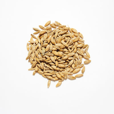 Countrywide Pigeon Barley 20kg