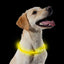 Usb Rechargeable Night Time Safety Halo Yellow 70cm