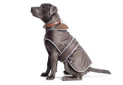 Muddy Paws Stormguard Lined Coat&Chest Protector Choc XSml