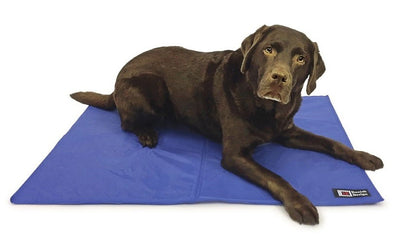 Cooling Mattress Large 70x100cm