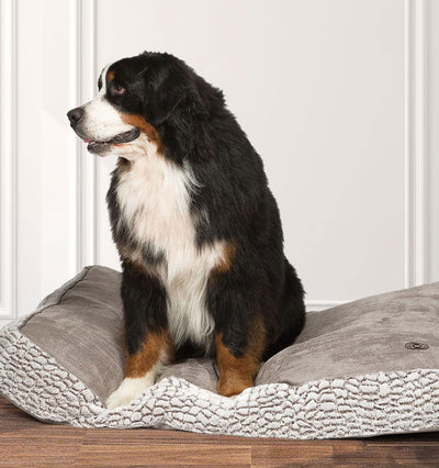 Arctic Box Duvet Large 125x79x12cm