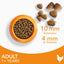 Iams Vitality Adult Cat With Fresh Chicken 10kg