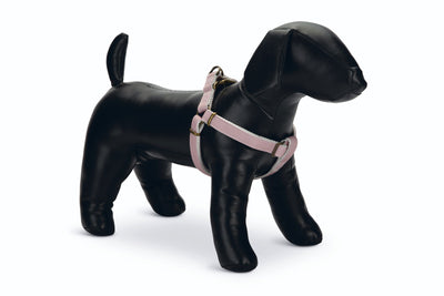 Designed By Lotte Harness Virante Pink 10mm X26-40cm