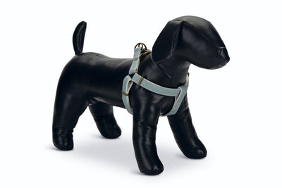 Designed By Lotte Harness Virante Mint 25mm X60-100cm