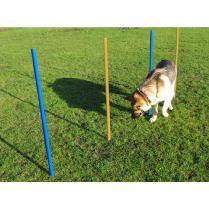 Agility Slalom Poles Pk5