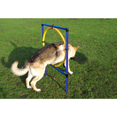 Agility Hoop Jump