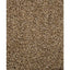 Henry Bell Sunflower Hearts 2kg