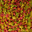 Supa Fish Food Large 50g