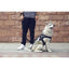 Petkit Dog Waste Bag Dispenser Set