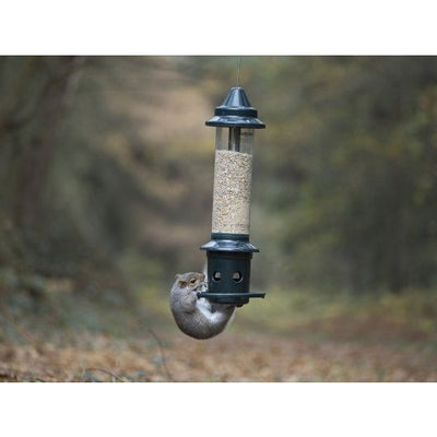 Squirrel Buster Plus 3ltr