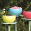 The Nuttery Pod Wild Bird Feeder - 3pack