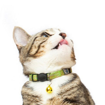 Long Paws Tom & Tabby Reflective Cat Collar Orange / Green