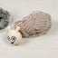 Ministry Of Pets Shelly The Sea Snail