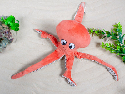 Ministry Of Pets Oswald The Octopus