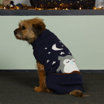 Pet Brands Starry Nights Owl Print Jumper Xs/s