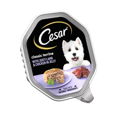 CESAR Classics Terrine Dog Food Tray Lamb & Chicken in Jelly 150g