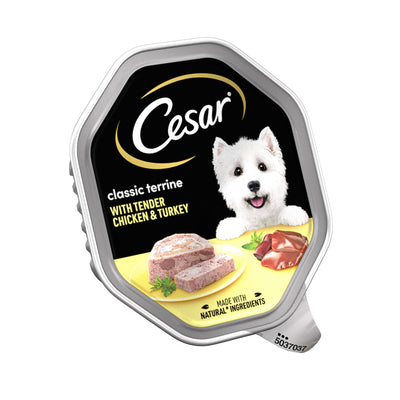 CESAR Classic Terrine Dog Food Tray Chicken & Turkey in Loaf 150g