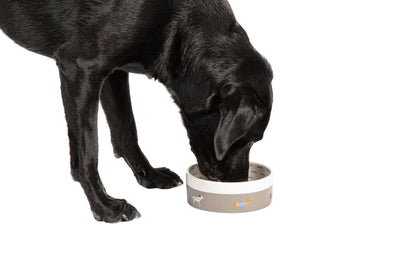 Fatface Marching Dogs Pet Bowl 16cm