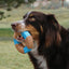 KONG Corestrength™ Bamboo Bone Large