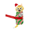 KONG Holiday Pull-a-partz™ Present