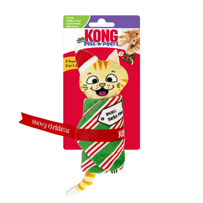 KONG Holiday Pull-a-partz™ Present