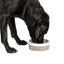 Fatface Marching Dogs Pet Bowl Large