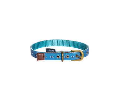 Fatface Marching Dogs Collar Medium 2cm (100% Polyester)  