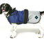 Battersea 2in1 Dog Coat Blue 60cm/24"